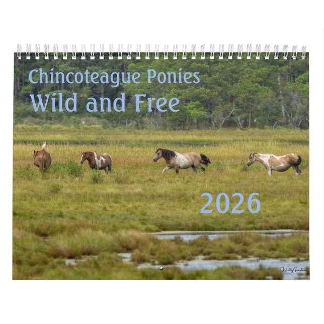 Calendrier Chincoteague Ponies Wild and Free 2026 Calendar (Protection)