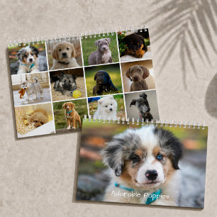 Calendrier Chiots Adorables 2026 Chien Mignon
