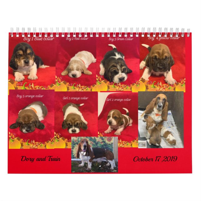 Calendrier Chiots de Basset hound (Protection)