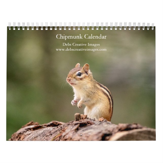 Calendrier Chipmunk 2026 (Protection)