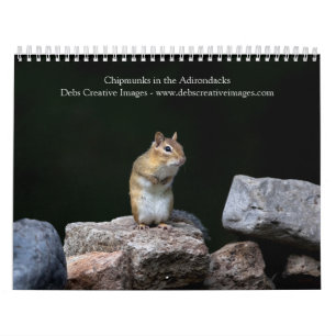Calendrier Chipmunks dans les Adirondacks 2025