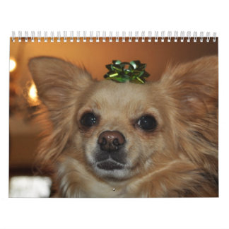 Calendrier Chiwawa