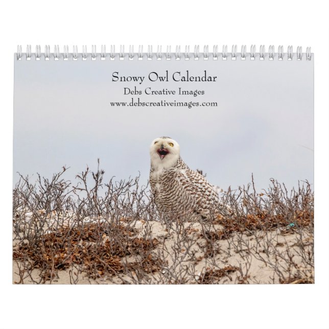 Calendrier Chouette des neiges 2026 (Protection)