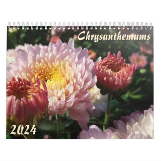 Calendrier "chrysanthèmes"Calendrier floral Feng Shui