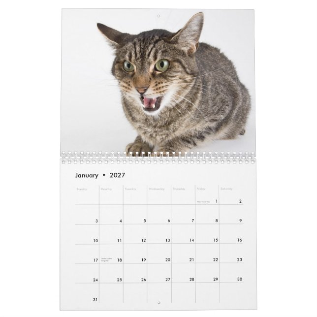 Calendrier Chutes de chats d'abri (Jan 2027)