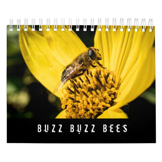 Calendrier Classez le miel et gaffez les abeilles (Protection)