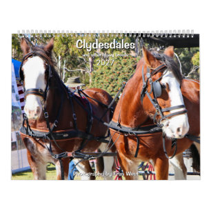 Calendrier Clydesdales & autres races de chevaux lourds 2027 