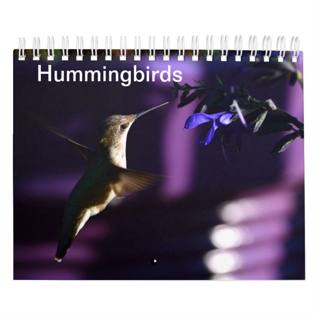 Calendrier Colibri (Protection)
