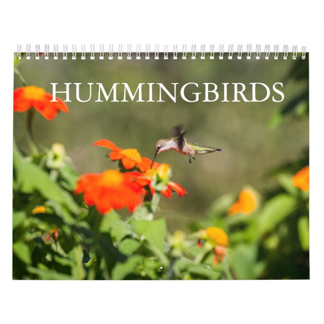 Calendrier Colibri (Protection)