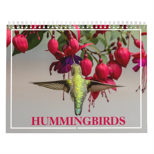 Calendrier Colibri (Protection)