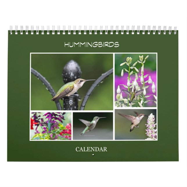 Calendrier Colibri (Protection)