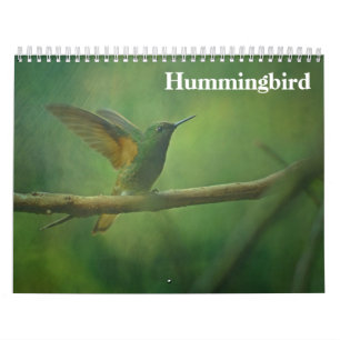 Calendrier Colibri 2027