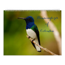 Colibri de Colombie