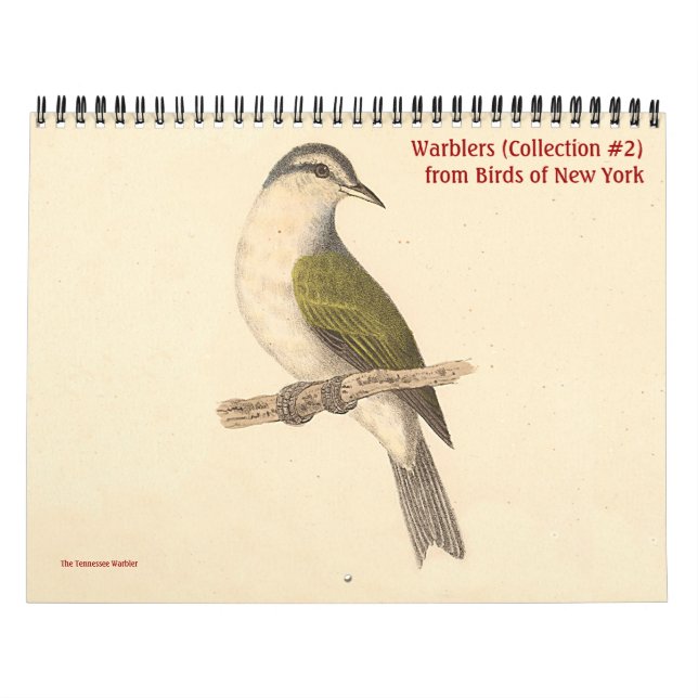 Calendrier Collection de parulines #2 Lithographies d'oiseaux (Protection)
