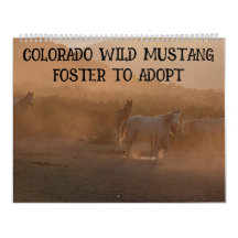 Calendrier Colorado Foster to Adopt