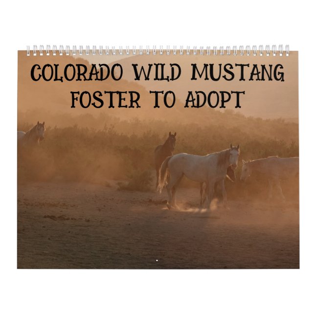 Calendrier Colorado Foster to Adopt Calendar (Protection)