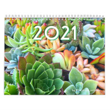 Calendrier coloré des jardins de Plantes succulent