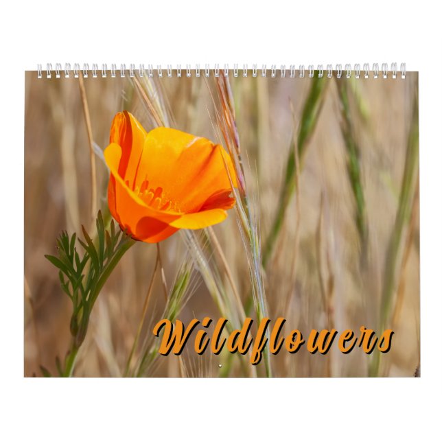 Calendrier Colorful Wildflowers  (Protection)