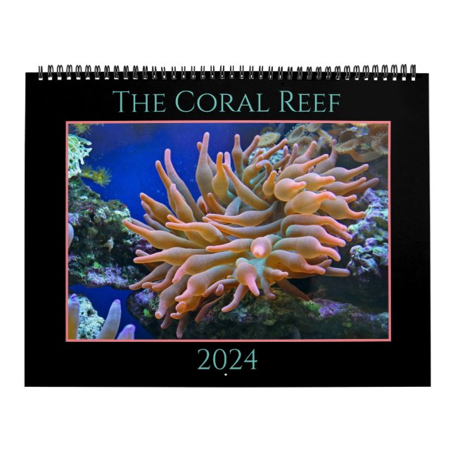 Calendrier Coral Reef (Protection)
