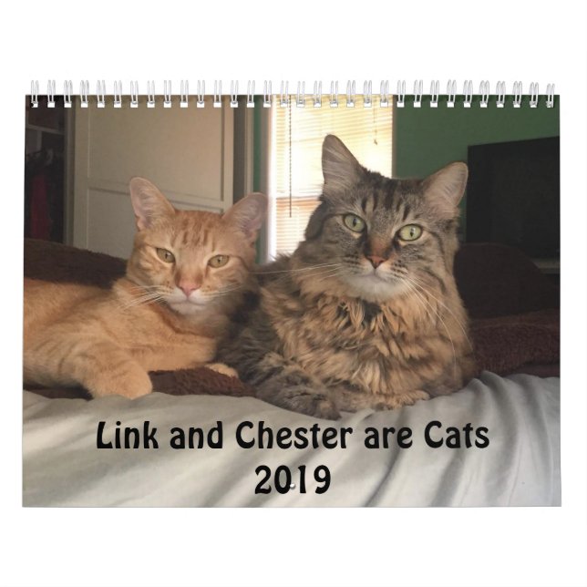 Calendrier costumé des chats 2019 (Protection)