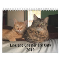 Calendrier costumé des chats 2019