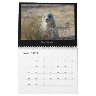 Calendrier côtier 2018 de faune de la Norfolk