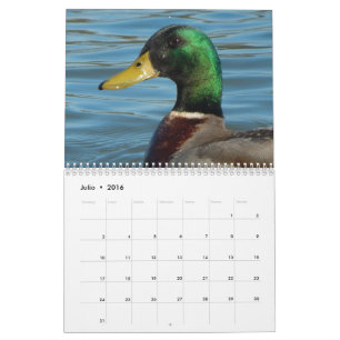 Calendrier Couleur d'en de gansos de fotos de patos y