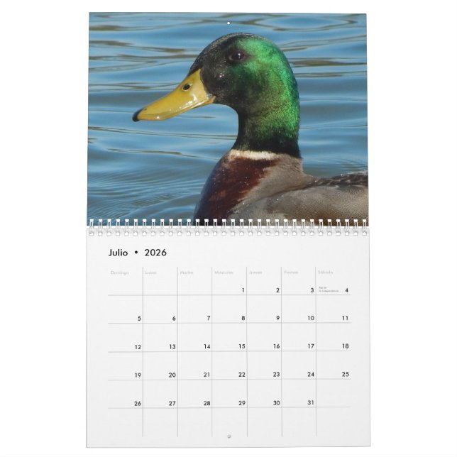 Calendrier Couleur d'en de gansos de fotos de patos y (Jul 2026)