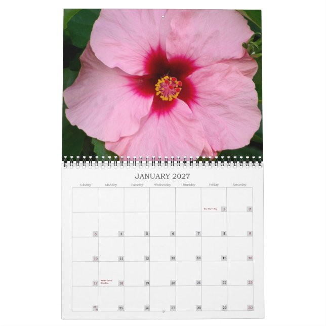 Calendrier Couleur hawaïenne 2012 (Jan 2027)