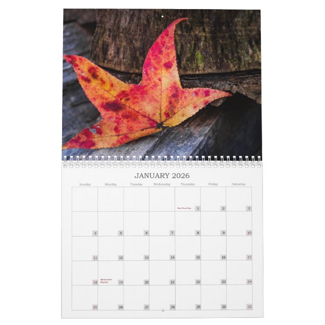 Calendrier Couleurs d'automne (Jan 2026)