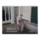 Coup de marionnette 2021