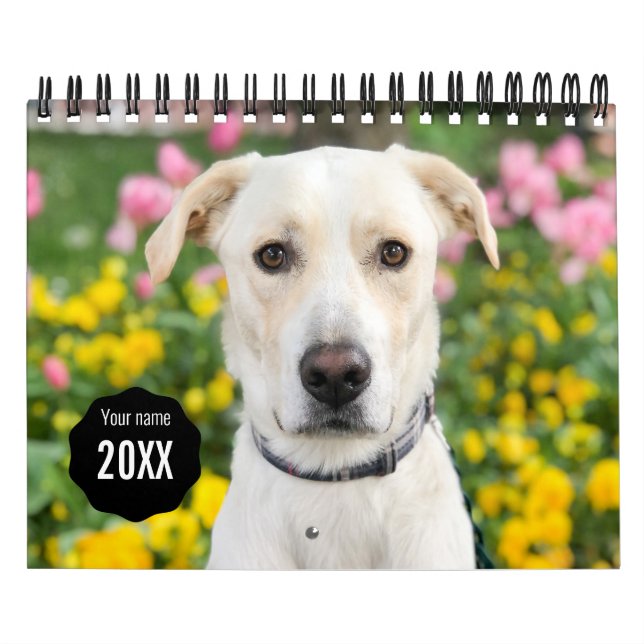 Calendrier Couverture complète de 14 photos moderne personnal (Protection)