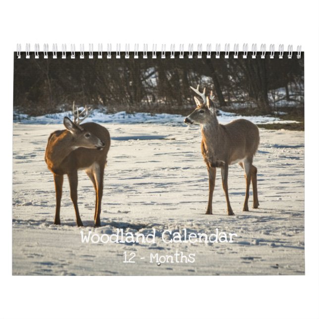 Calendrier Créatures de la forêt Nature  (Protection)