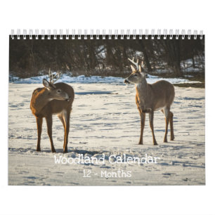 Calendrier Créatures de la forêt Nature