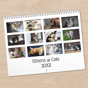 Calendrier Créez votre propre photo de chat mignon