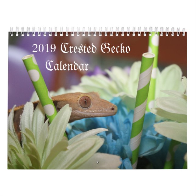 Calendrier crêté du Gecko 2019 (Protection)
