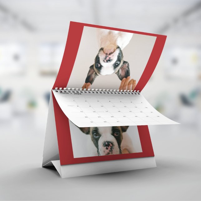 Calendrier Custom Red Pet Photo  (Créateur téléchargé)