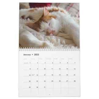 Calendrier Cute Cat & Kitten 2023