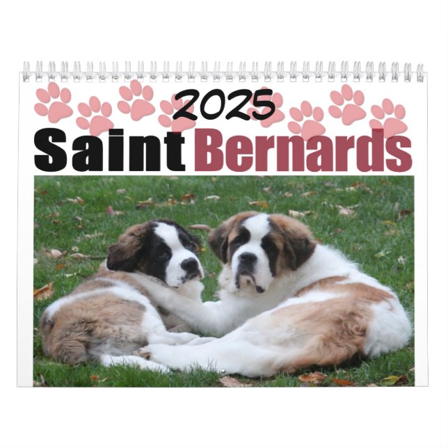 Calendrier Cute Chien race Saint Bernard Puppy (Protection)