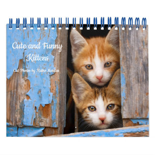Calendrier Cute et Funny Kittens Photo de chat —