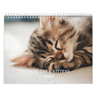Calendrier Cute Kitten And Cat Pet Photo
