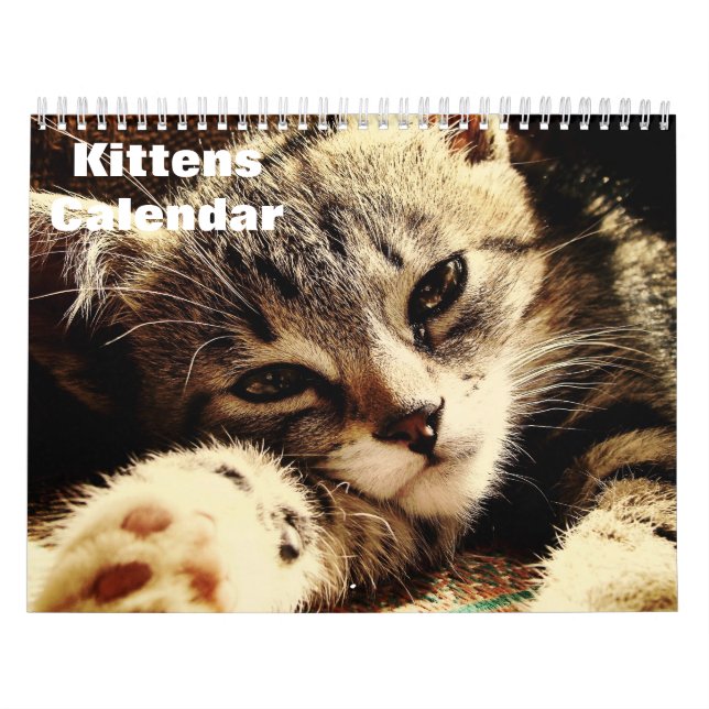 Calendrier Cute Kittens 2025 (Protection)