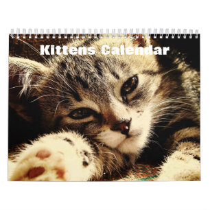 Calendrier Cute Kittens 2025