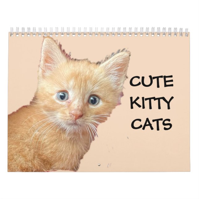 Calendrier CUTE KITTIE CADRES (Protection)