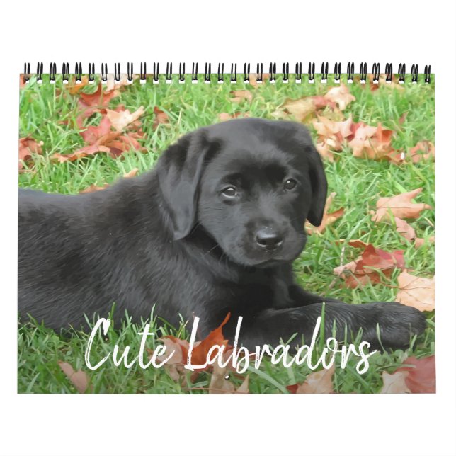 Calendrier Cute Labradors - Black Labrador Retriever Chien (Protection)