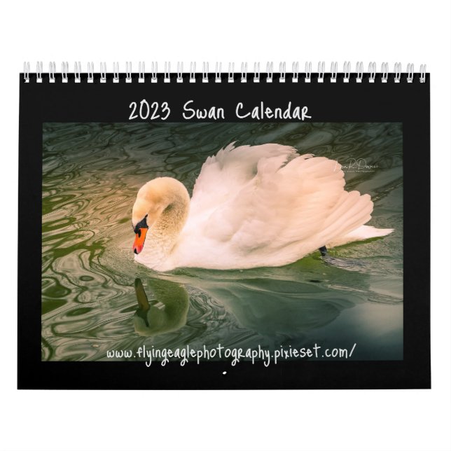 Calendrier cygne 2023 (Protection)