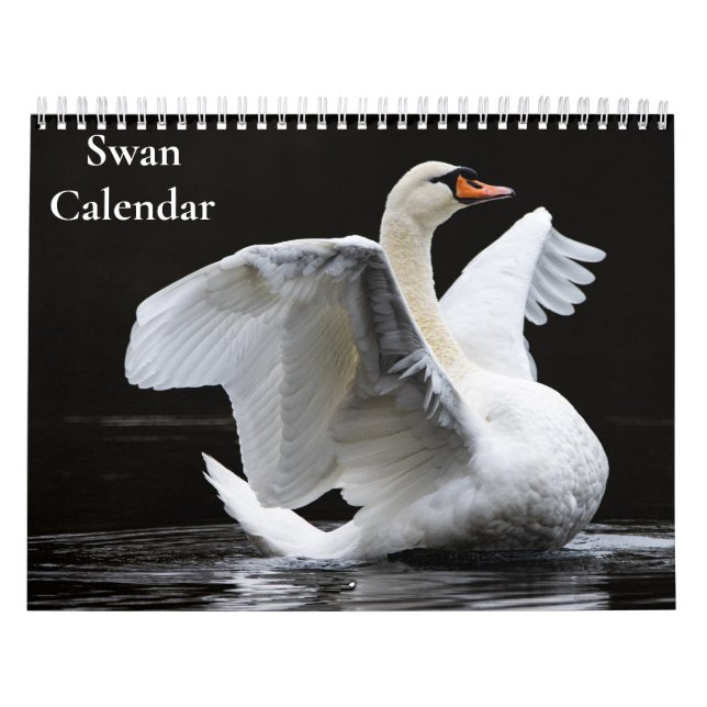 Calendrier cygne 2025 (Protection)