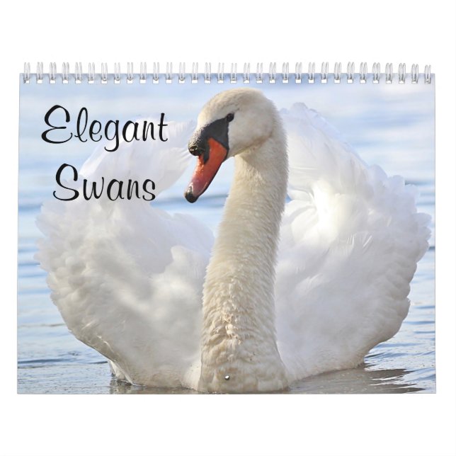 Calendrier Cygnes élégants (Protection)