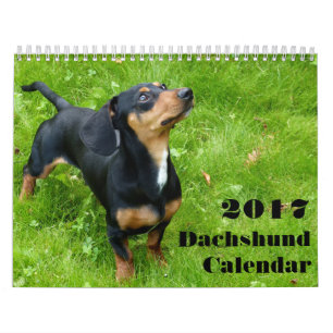 Calendrier Dachshund 2023 Avec Vos Photos