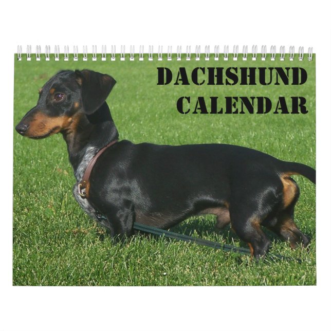 Calendrier Dachshund Avec Vos Photos (Protection)